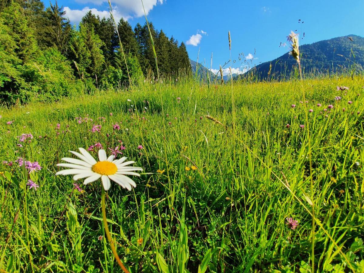 Zeitfrei Chalet Apartments Fieberbrunn Zewnętrze zdjęcie